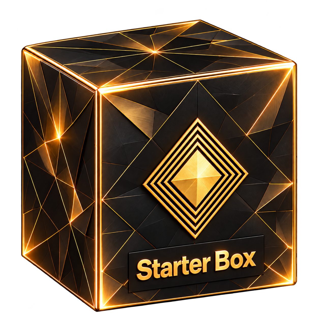 Black and gold Starter Box